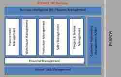 Enterprises Resource Planning (ERP)