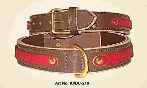 Leather Knitted Dog Collar