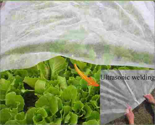 PP Agriculture Non-woven Fabric With UV Resistant