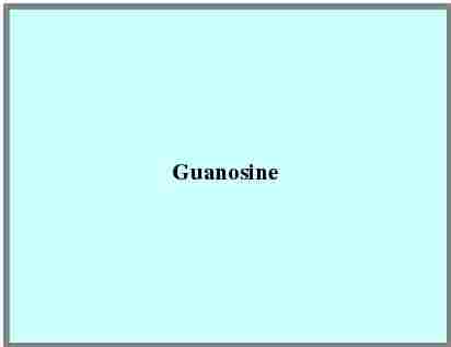 Guanosine