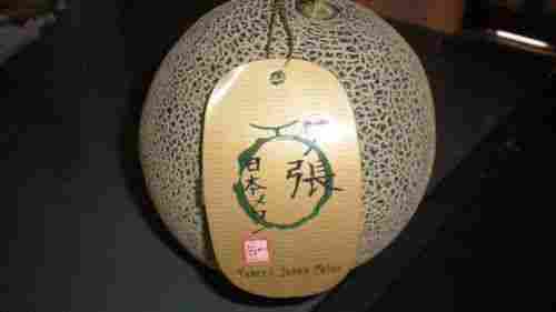 Japan Melon
