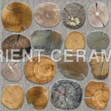 Anti Bacterial And Elegant Design Orient Floor Tiles