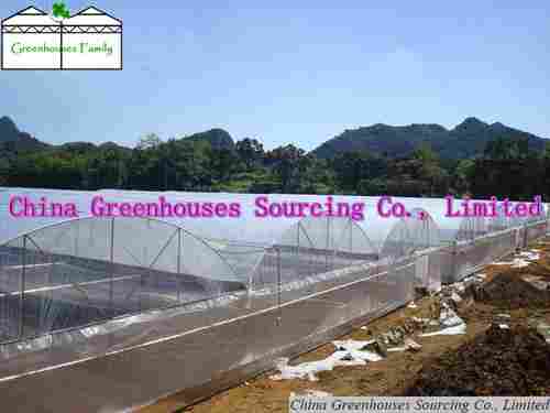Commercial Plastic Greenhouses for Sale