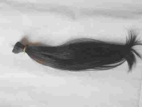 Single Drawn Human Hair