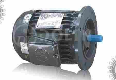 Three Phase AC Induction Motor (AEVF Series)
