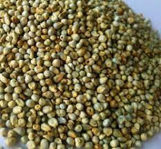 High Quality Green Millets (Bajara)