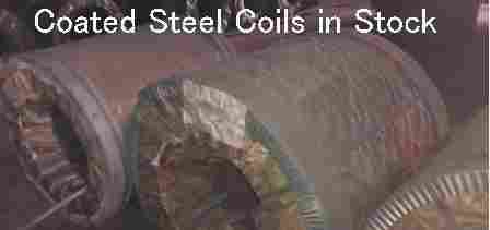 Coated Steel Coil