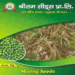 Moong Seeds