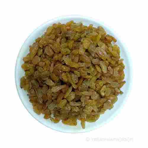Yellow Nashik Type III Grade B Standard Mixed Raisins