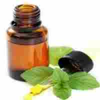 Finest Quality Mentha Oil