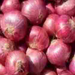 Nashik Red Onions