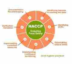 Haccp Certification 
