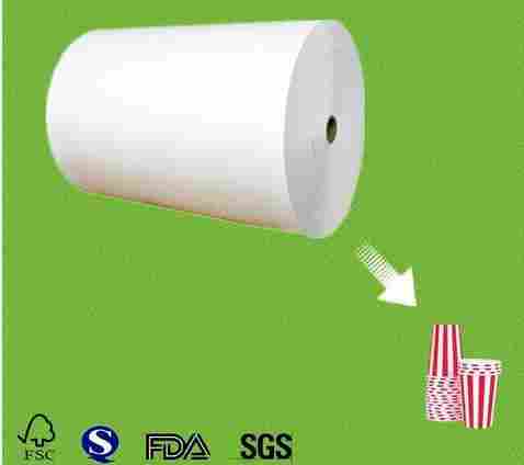 Paper For PE Coated Paper Cup
