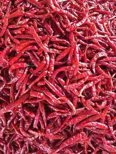 Dry Red Chilli Teja S17