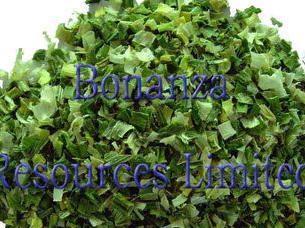 Grey Dehydrated Chives Flakes