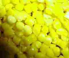 PP Yellow Reprocessed Granules