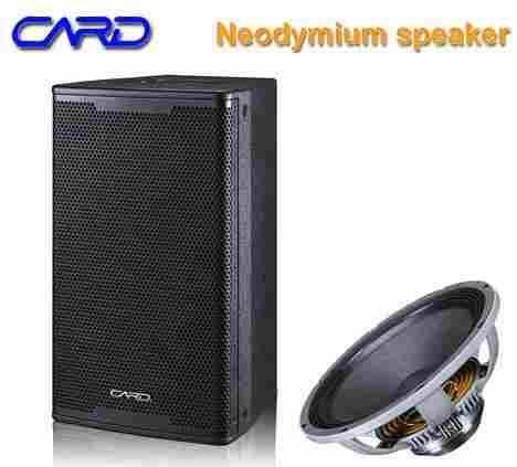 Environmental Paint Portable 12 Inch Speaker With The Neodynium Speaker 
