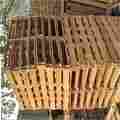 Pallets Of Pine Wood