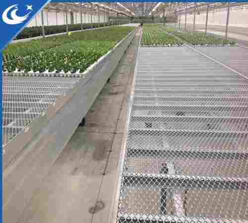 Greenhouse Rolling Benches Systems For Commercial Greenhouse