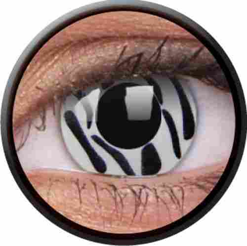 Zebra Contact Lens