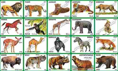 Animals Sticker Chart