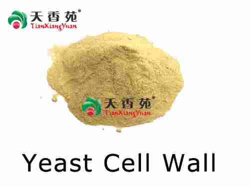 Yeast Cell Wall