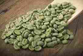 Fresh Green Coffee Beans Extract