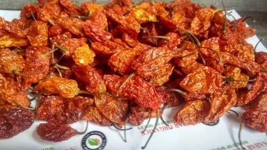Oven Dried Bhut Jolokia Tablets
