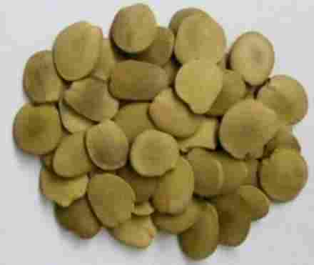 Brachystegia Eurycoma Seeds