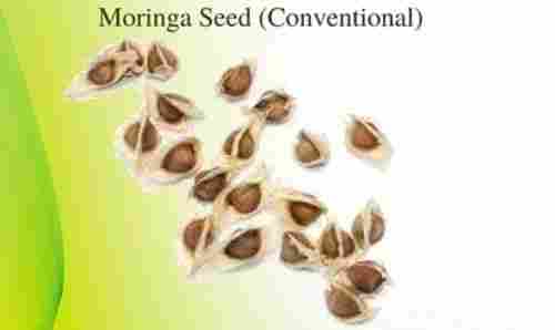 Organic Moringa Seeds