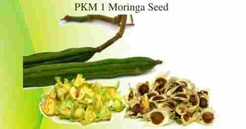PKM-1 Moringa Seeds
