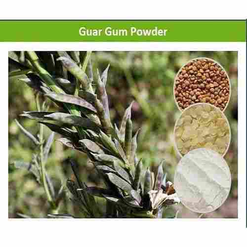 Food Additive Guar Gum Powder
