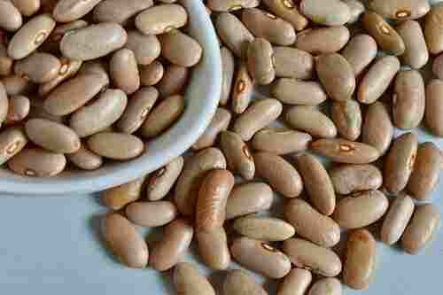 Large White Kidney Bean (Harshil)