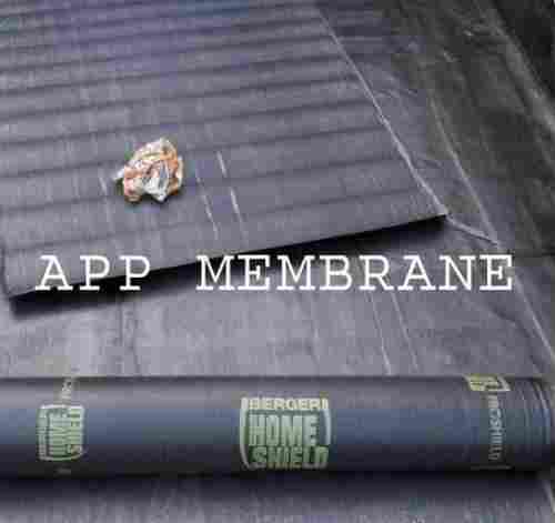 Roof Waterproofing Treatment Services with APP Membrane