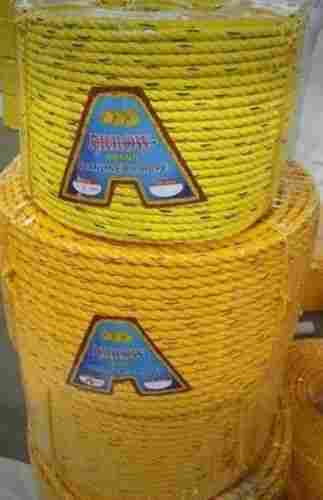 Exclusive PP Danline Ropes