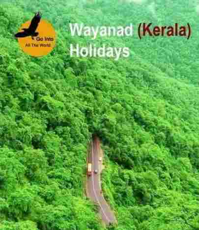 Kerala Holiday Tour Services
