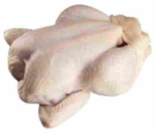 Best Quality Halal Frozen Whole Chicken