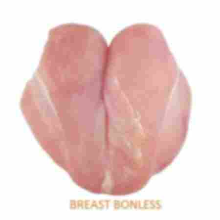 Low Price Chicken Breast Boneless