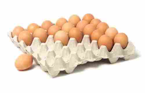 Paper Pulp Moulded Egg Trays