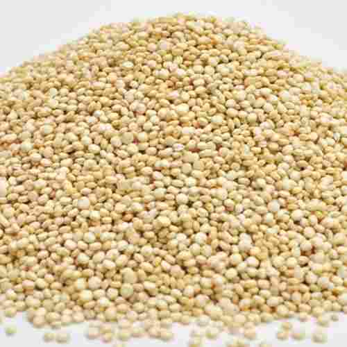 High Grade Quinoa Seeds