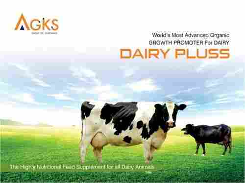 Dairy Pluss Highly Nutritional Feed Supplement