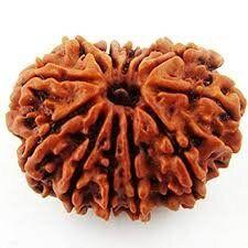 Beads Four Faces Natural Imported Rudraksha