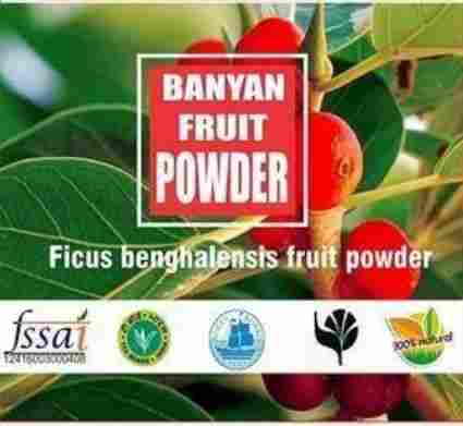 Neotea Banyan (Bargad) Fruit Powder