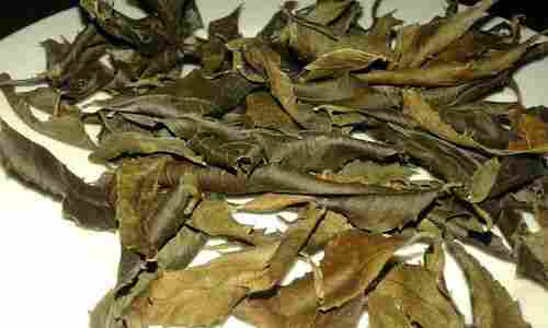 Ayurvedic Neems Leaves