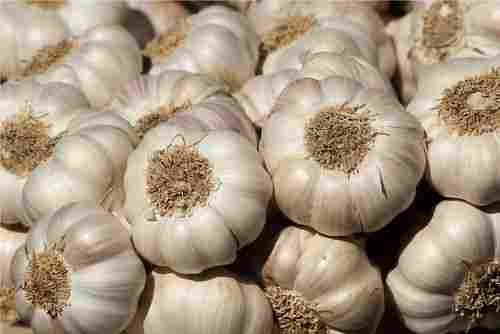 100% Organic Fresh Garlic