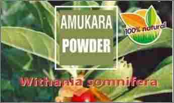 Neotea Amukkara Powder