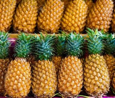 Yellow Fresh Organic Bangladeshi Pineapple