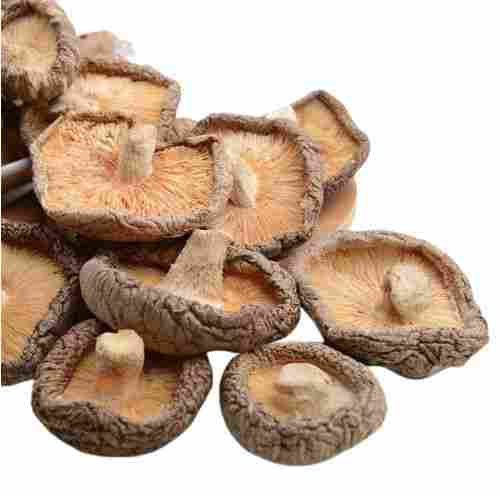 Edible Dried Shiitake Mushrooms