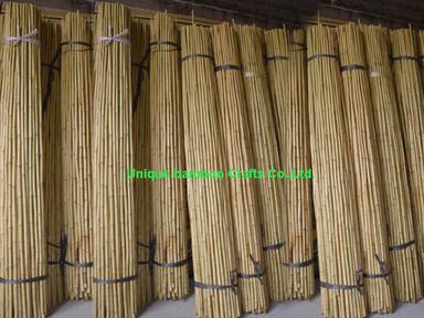 Natural Quality Fumigated Dry Bamboo Cane For Plant Supporting