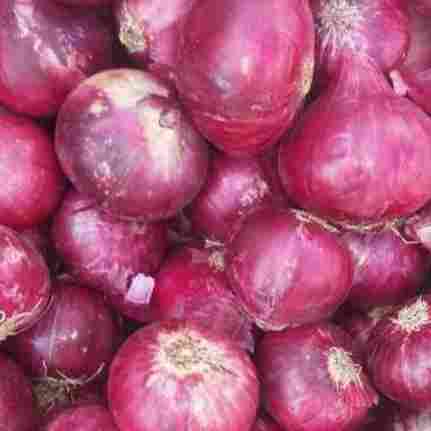 Indian Fresh Red Onions